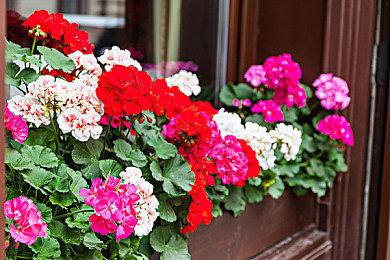 3DM速报：《塞尔达传说》有爆衣？《数码宝贝绝境求生》7月28发售